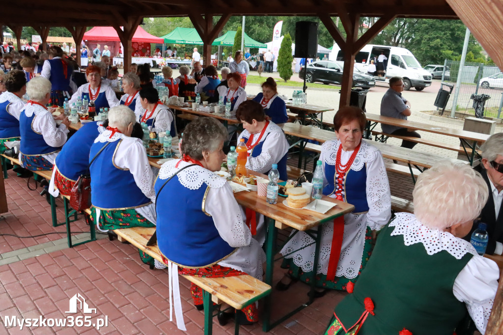 Fotorelacja: Gościniec Jurajski - Koziegłowy 2023r. cz.1