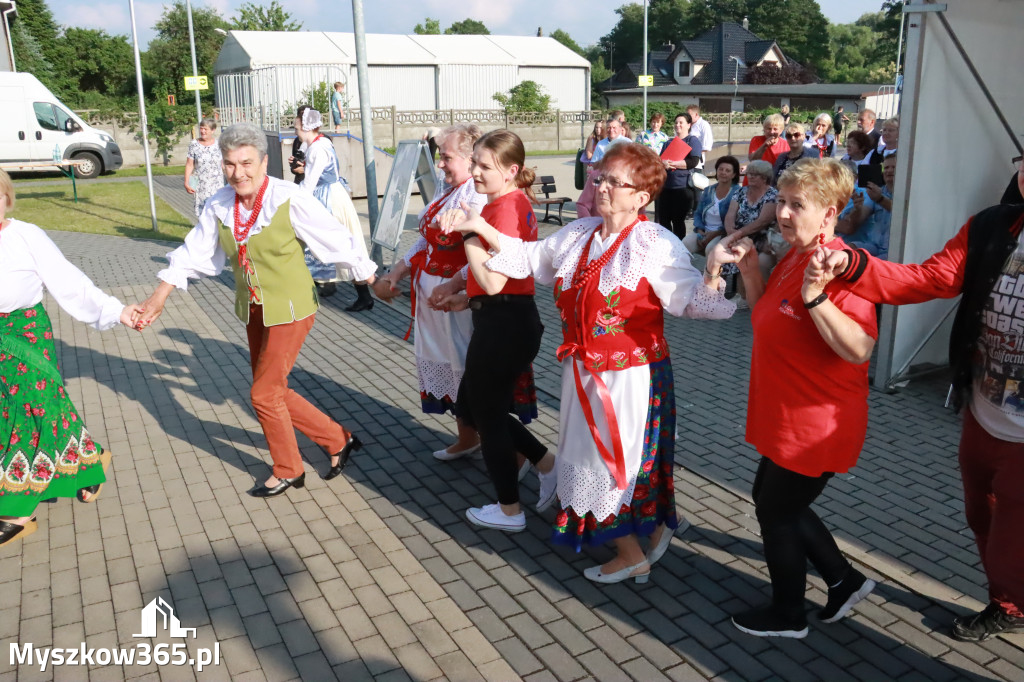 Fotrelacja: Gościniec Jurajski - Koziegłowy 2023r. cz.2