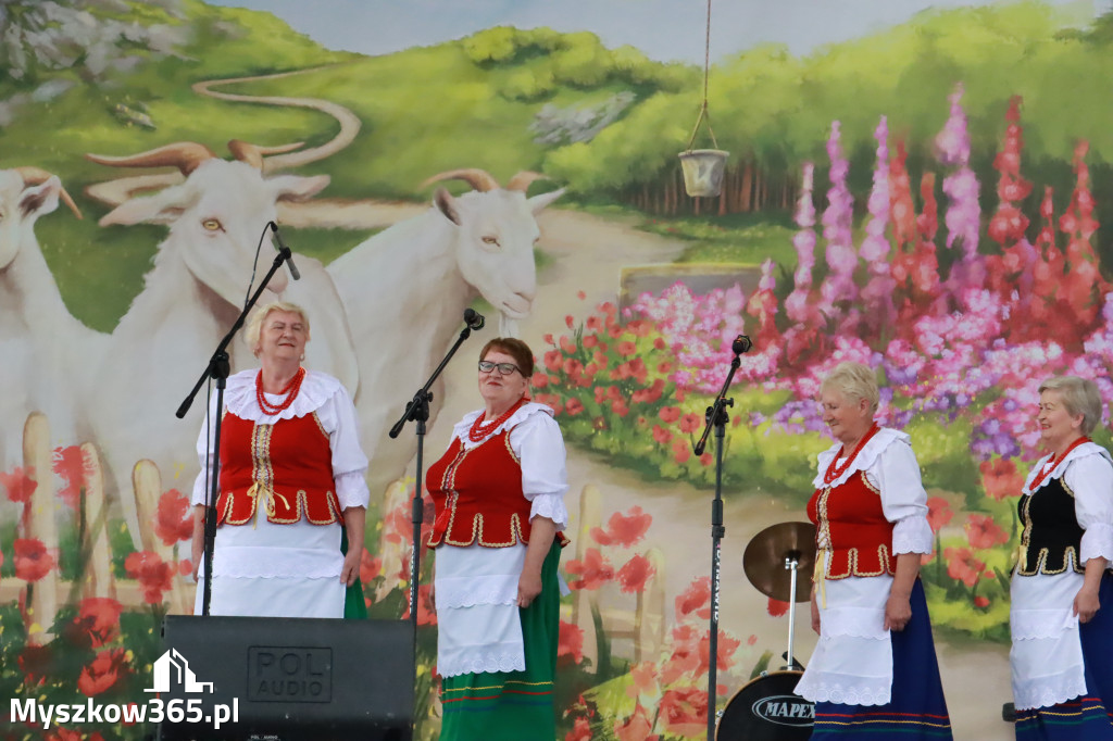 Fotorelacja: II Etap Konkursowy Gościniec Jurajski w Koziegłowach