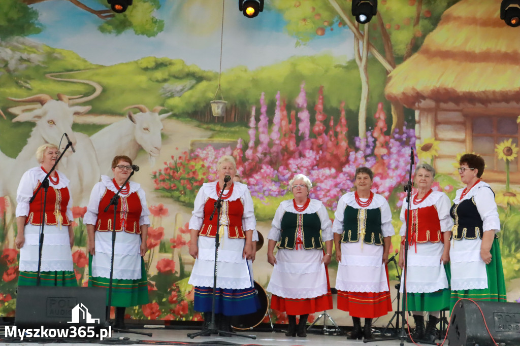 Fotorelacja: II Etap Konkursowy Gościniec Jurajski w Koziegłowach
