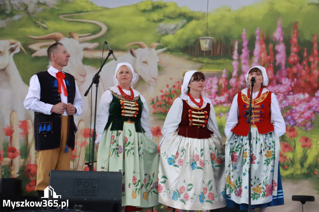 Fotorelacja: II Etap Konkursowy Gościniec Jurajski w Koziegłowach