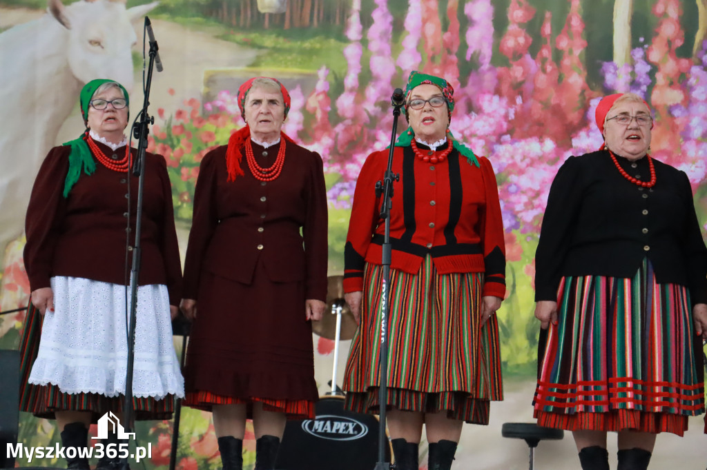 Fotorelacja: II Etap Konkursowy Gościniec Jurajski w Koziegłowach