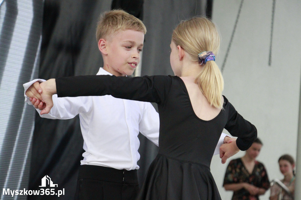 Fotorelacja: Dni Koziegłów za nami! Tak było w niedzielę!