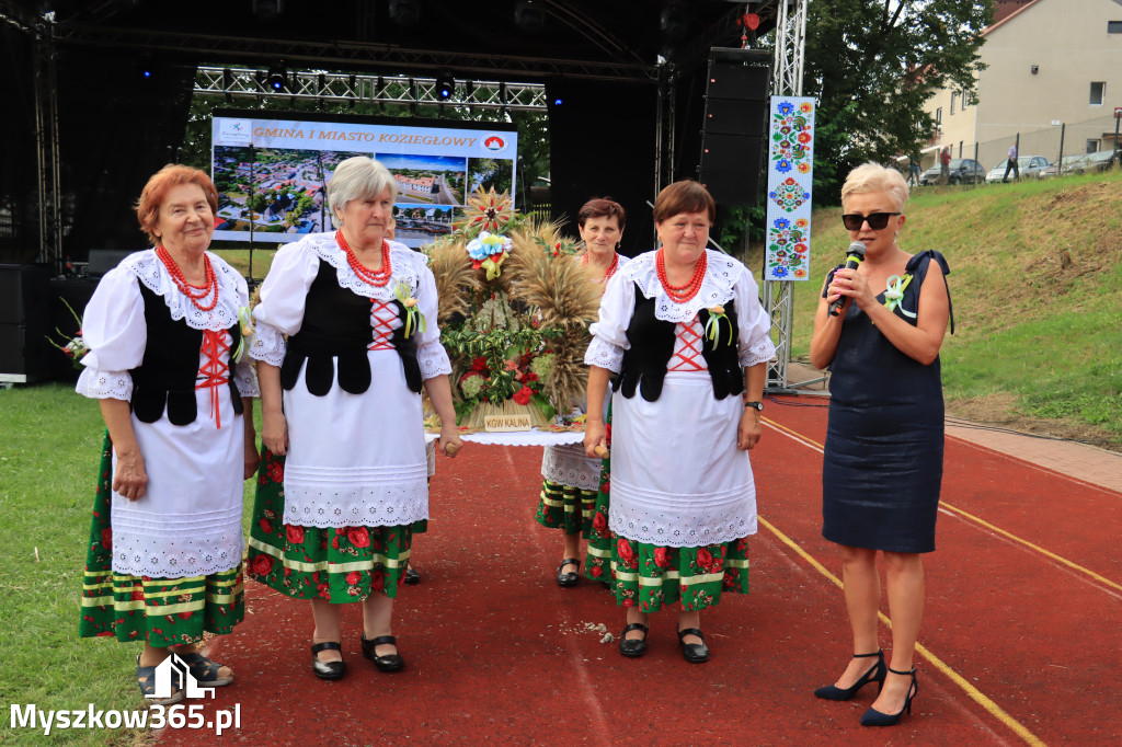 Fotorelacja: Dożynki Powiatowe w Cynkowie cz. 2