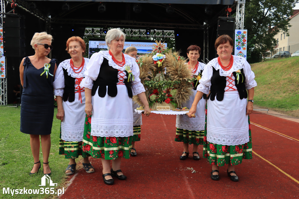 Fotorelacja: Dożynki Powiatowe w Cynkowie cz. 2