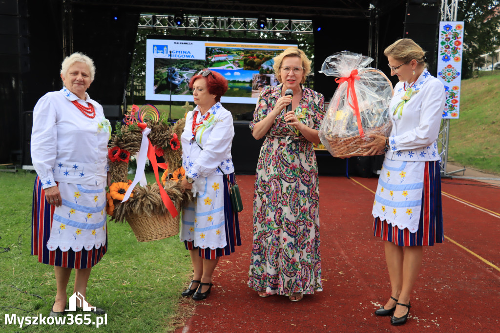 Fotorelacja: Dożynki Powiatowe w Cynkowie cz. 2