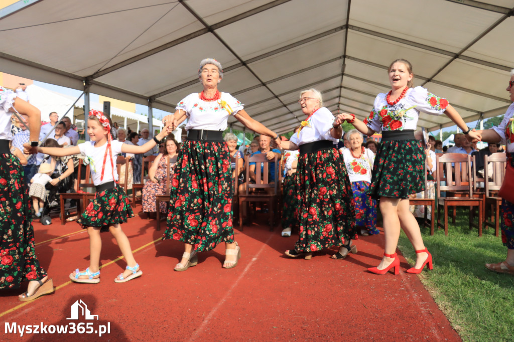 Fotorelacja: Dożynki Powiatowe w Cynkowie cz. 2