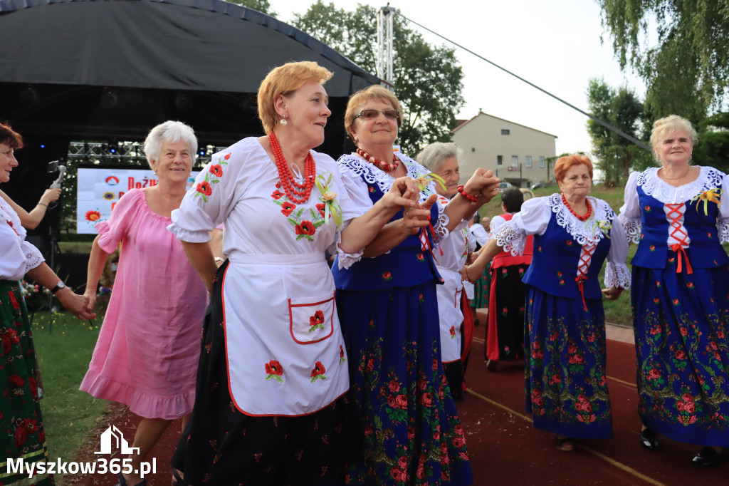 Fotorelacja: Dożynki Powiatowe w Cynkowie cz. 2