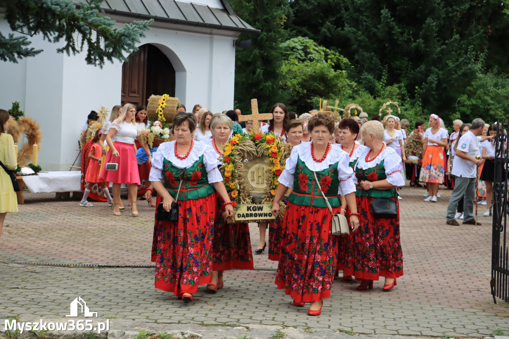 Fotorelacja: Dożynki Gminno-Parafialne w Niegowie cz. 1