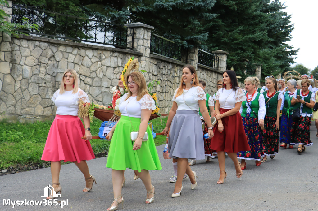 Fotorelacja: Dożynki Gminno-Parafialne w Niegowie cz. 1