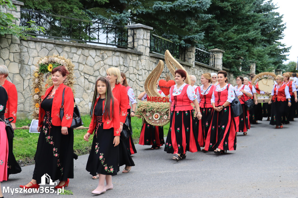 Fotorelacja: Dożynki Gminno-Parafialne w Niegowie cz. 1