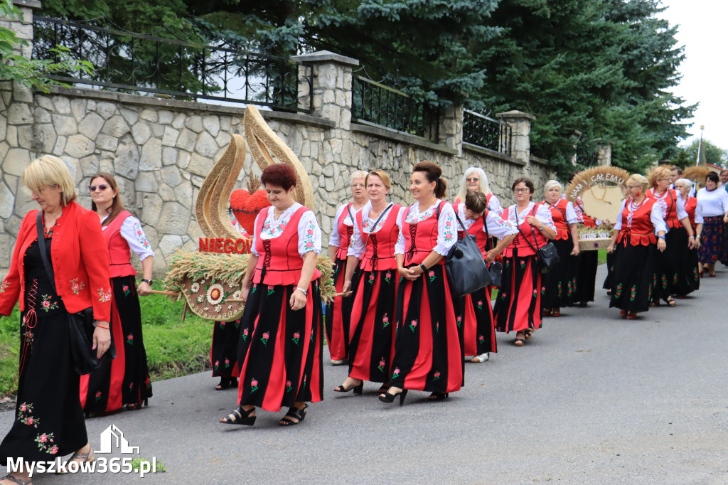 Fotorelacja: Dożynki Gminno-Parafialne w Niegowie cz. 1