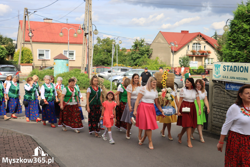 Fotorelacja: Dożynki Gminno-Parafialne w Niegowie cz. 1