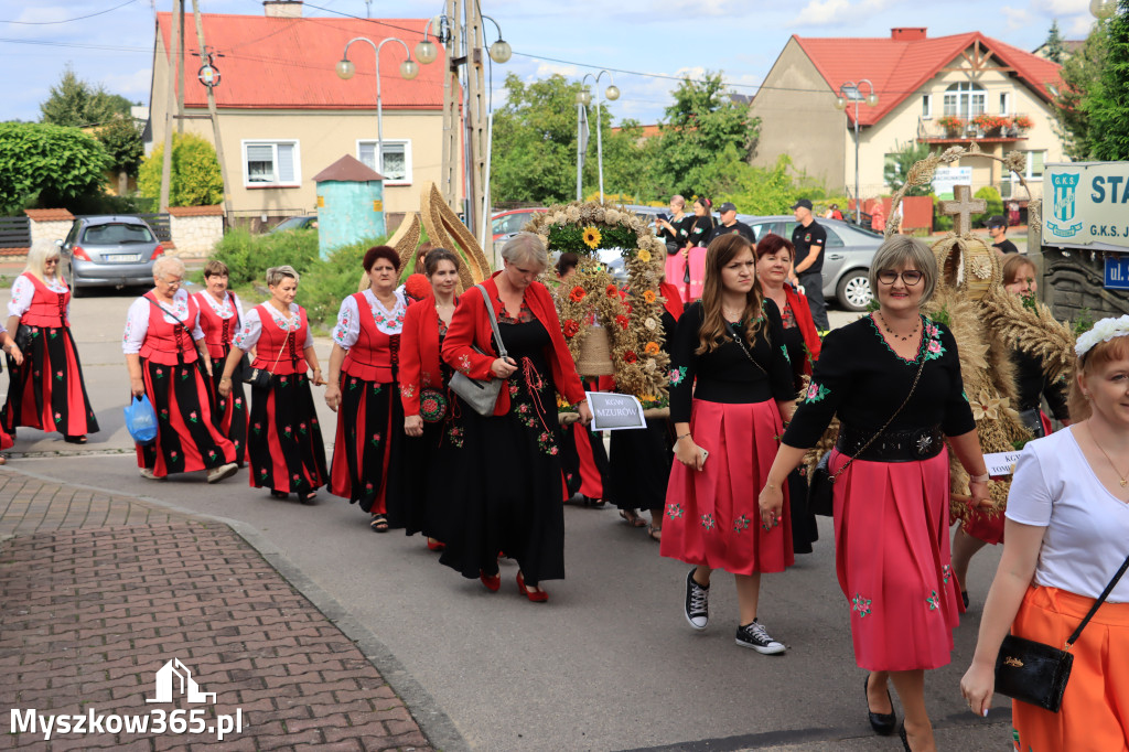 Fotorelacja: Dożynki Gminno-Parafialne w Niegowie cz. 1