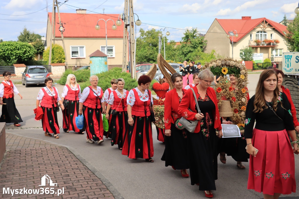 Fotorelacja: Dożynki Gminno-Parafialne w Niegowie cz. 1