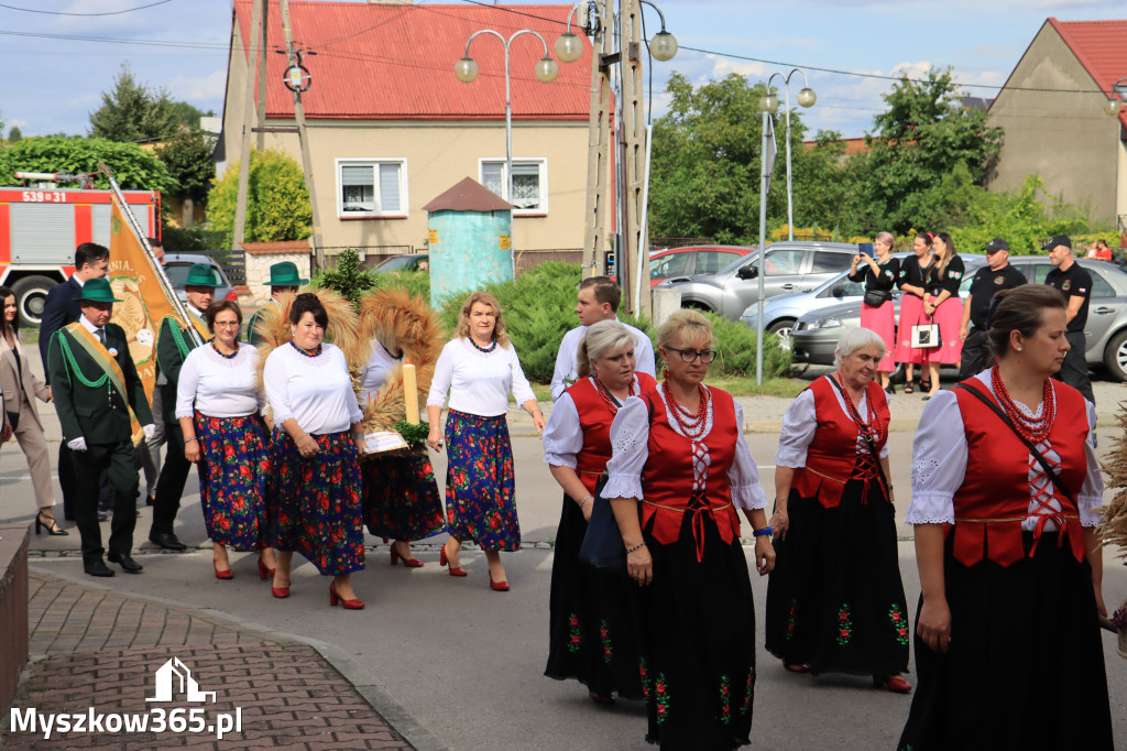 Fotorelacja: Dożynki Gminno-Parafialne w Niegowie cz. 1