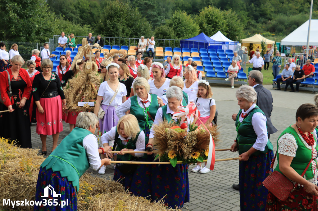 Fotorelacja: Dożynki Gminno-Parafialne w Niegowie cz. 1