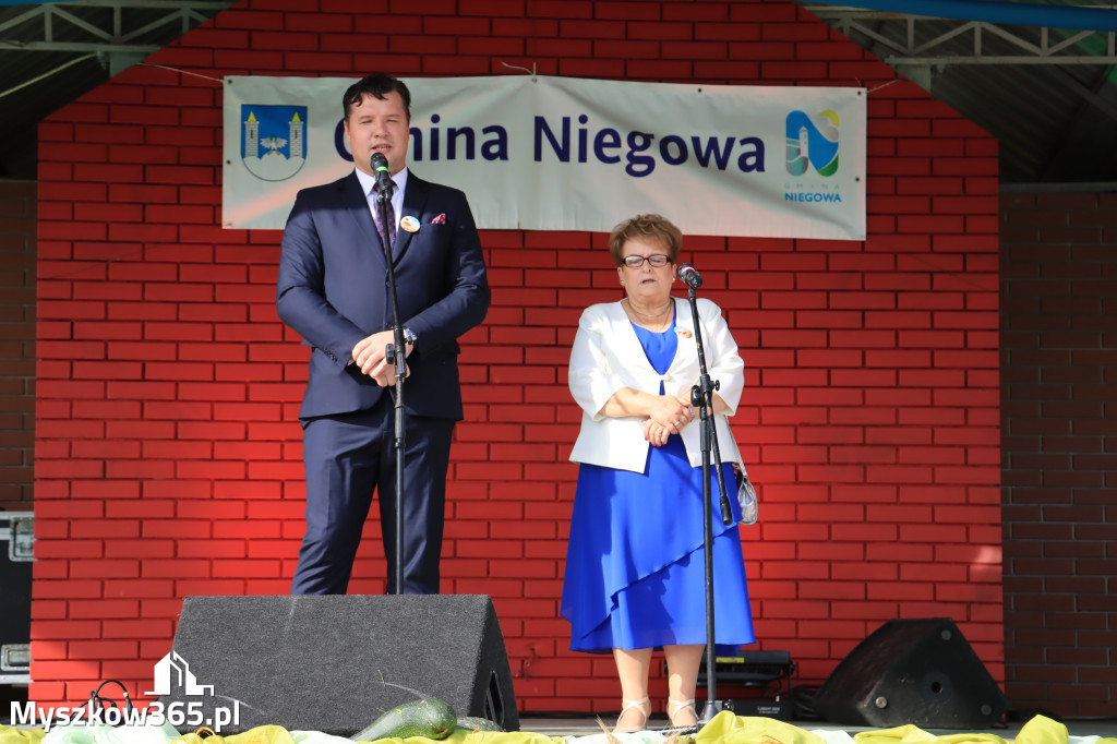 Fotorelacja: Dożynki Gminno-Parafialne w Niegowie cz. 1