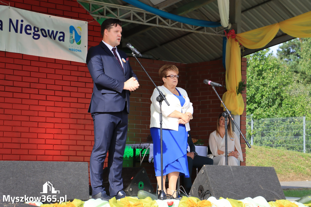 Fotorelacja: Dożynki Gminno-Parafialne w Niegowie cz. 1