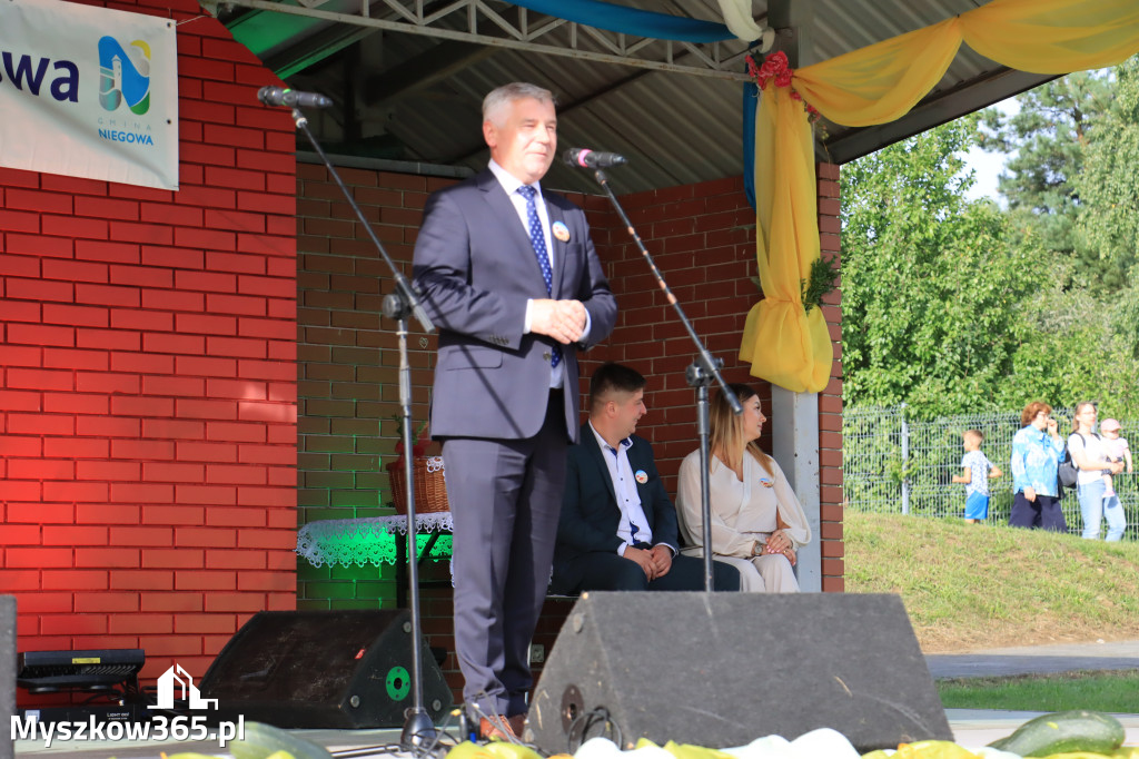 Fotorelacja: Dożynki Gminno-Parafialne w Niegowie cz. 1