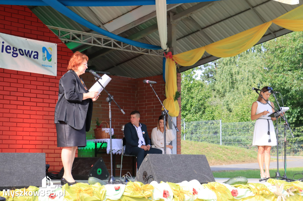 Fotorelacja: Dożynki Gminno-Parafialne w Niegowie cz. 1