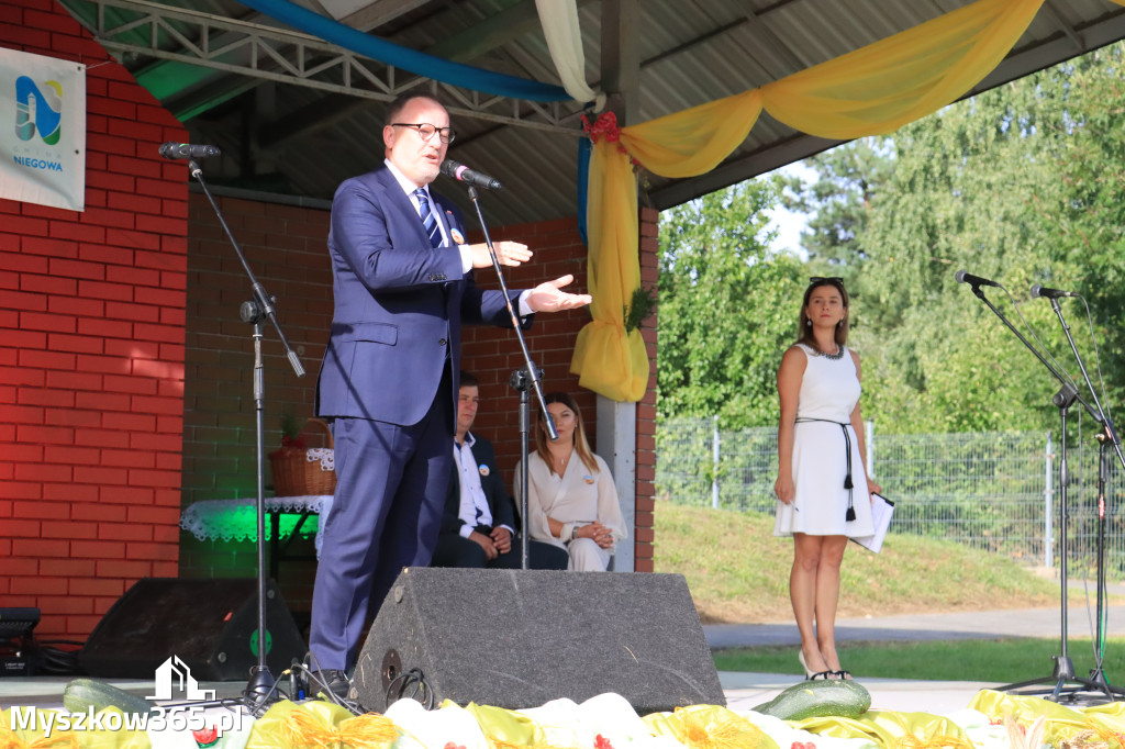 Fotorelacja: Dożynki Gminno-Parafialne w Niegowie cz. 1