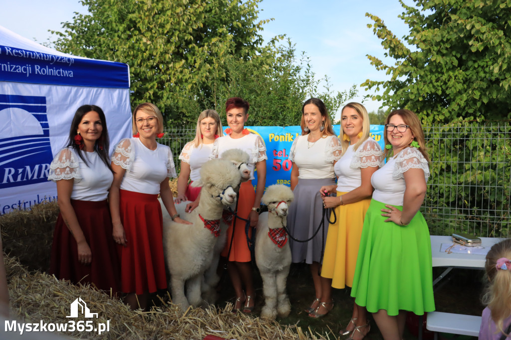 Fotorelacja: Dożynki Gminno-Parafialne w Niegowie cz. 1