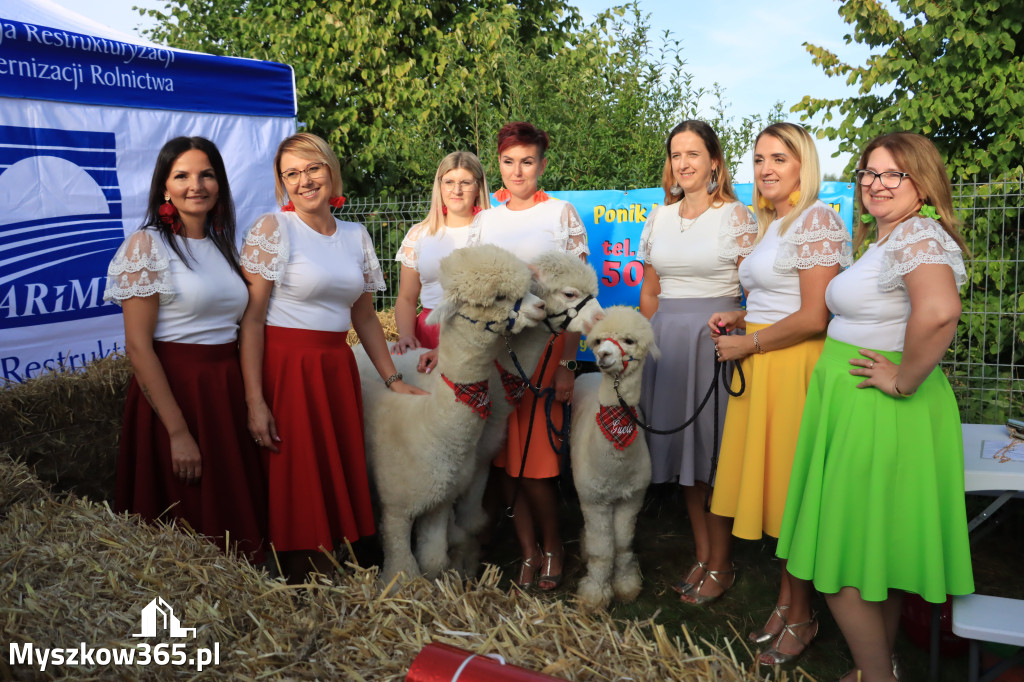 Fotorelacja: Dożynki Gminno-Parafialne w Niegowie cz. 1