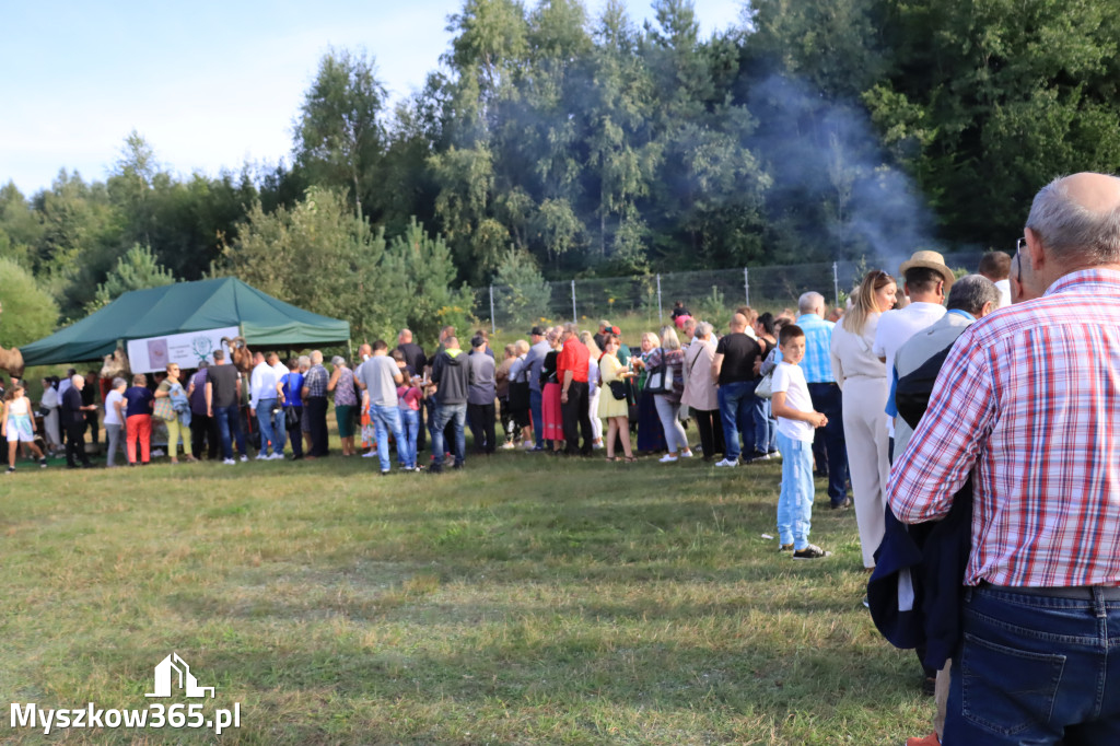 Fotorelacja: Dożynki Gminno-Parafialne w Niegowie cz. 1