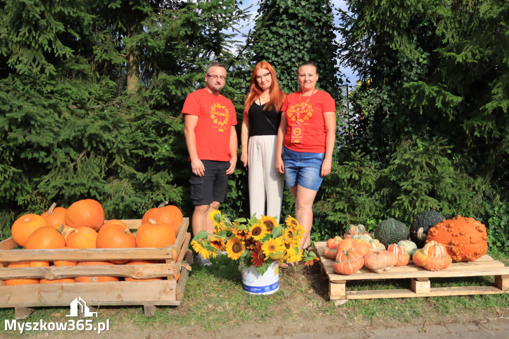 Fotorelacja: Juromania - Pole Dyniowe w Przybynowie