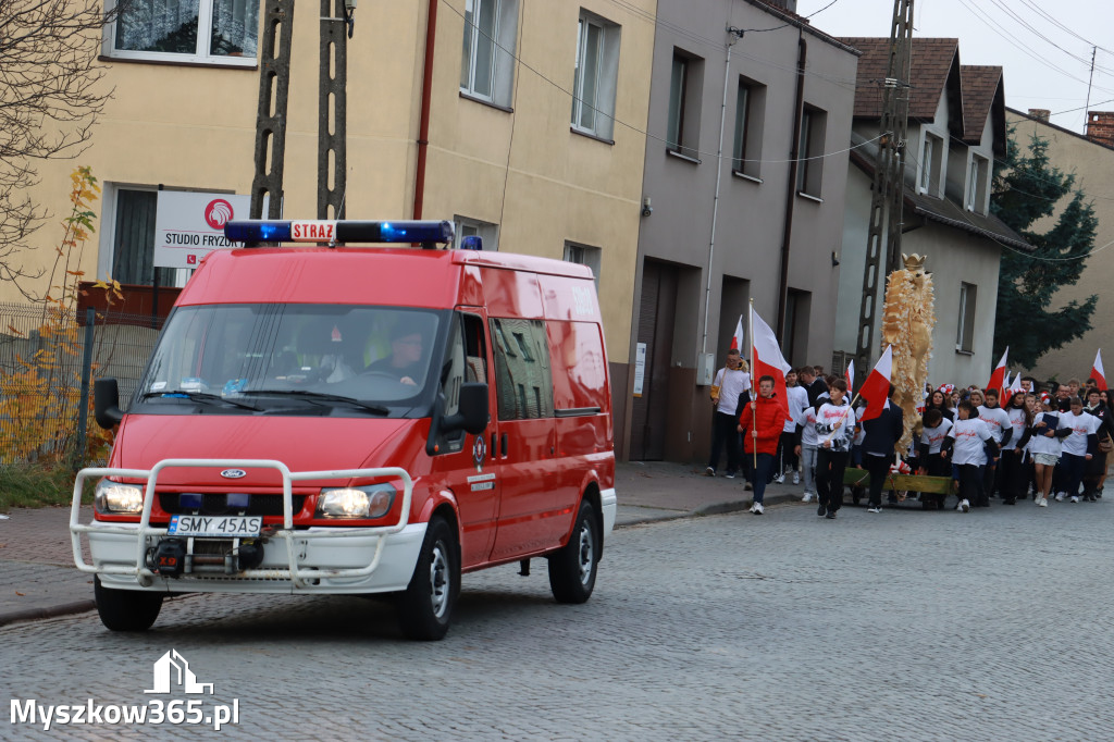 Fotorelacja Koziegłowy: Uroczystość 105. Rocznicy Odzyskania przez Polskę Niepodległości.