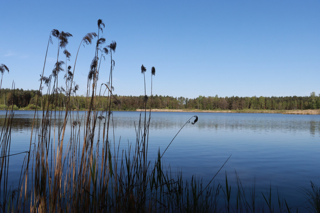 Fotorelacja Myszków: Zawody Spławikowe o Puchar Prezesa Stowarzyszenia