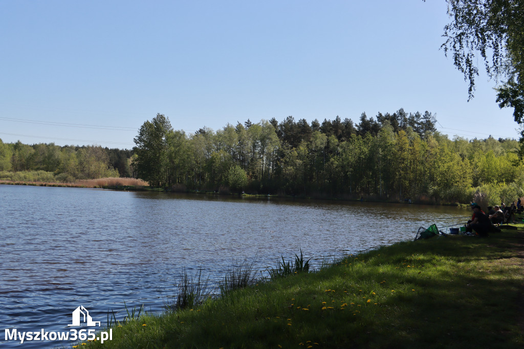 Fotorelacja Myszków: Zawody Spławikowe o Puchar Prezesa Stowarzyszenia