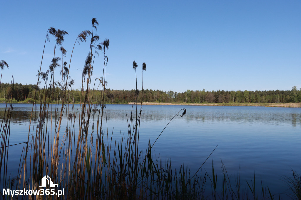 Fotorelacja Myszków: Zawody Spławikowe o Puchar Prezesa Stowarzyszenia