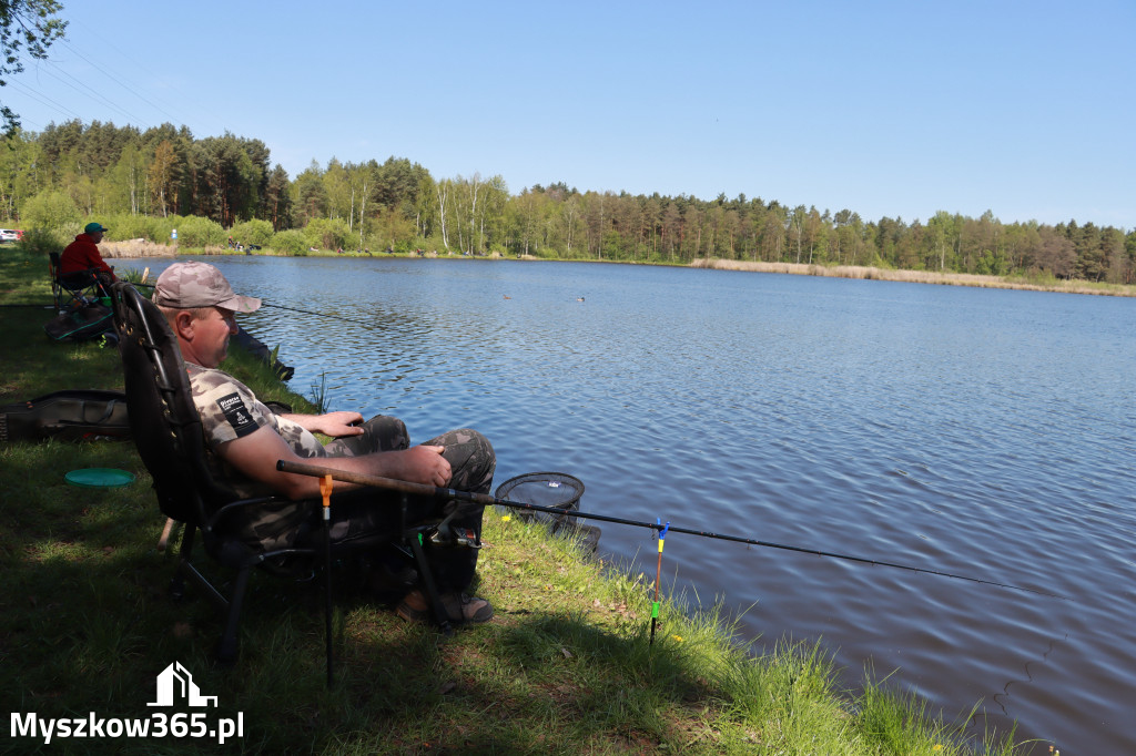 Fotorelacja Myszków: Zawody Spławikowe o Puchar Prezesa Stowarzyszenia