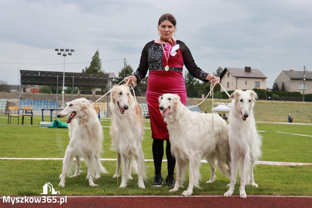 Fotorelacja - Wystawa Psów Rasowych GNIAZDÓW 2024r.