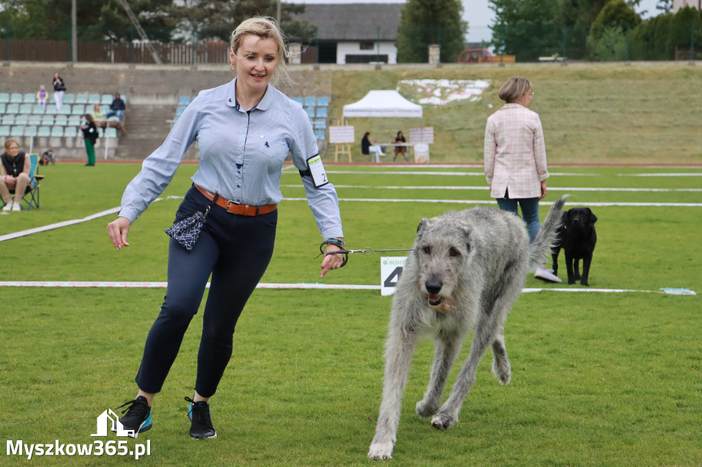 Fotorelacja - Wystawa Psów Rasowych GNIAZDÓW 2024r.