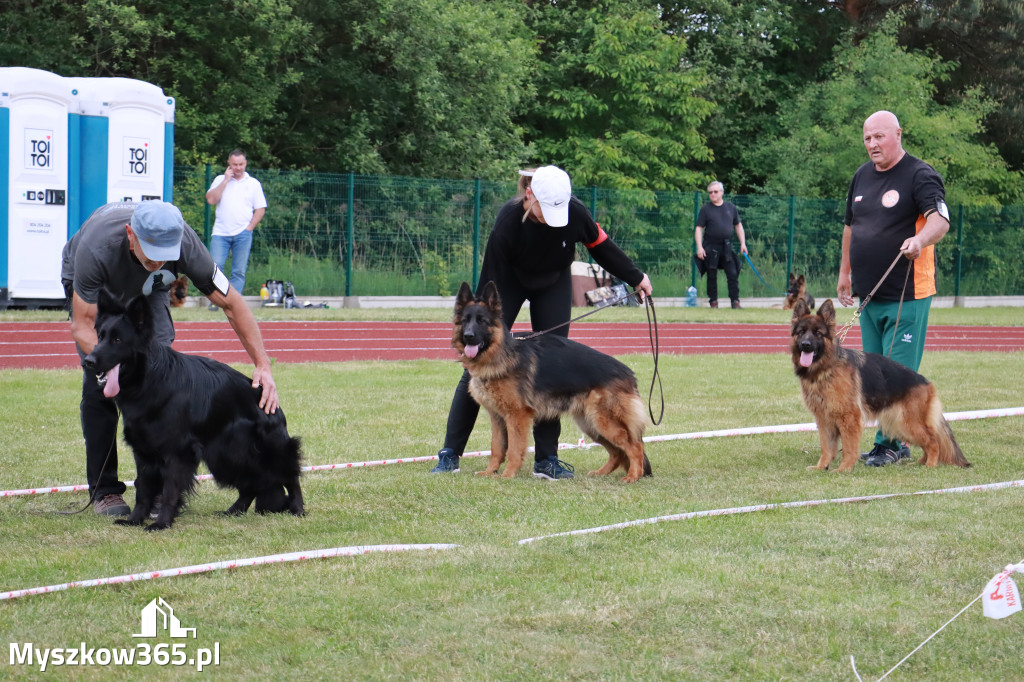 Fotorelacja - Wystawa Psów Rasowych GNIAZDÓW 2024r.