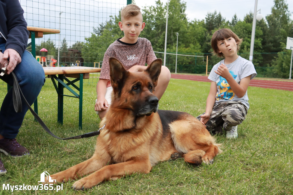 Fotorelacja - Wystawa Psów Rasowych GNIAZDÓW 2024r.