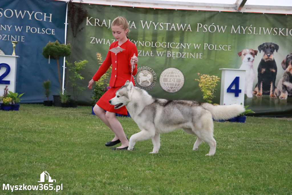 Fotorelacja - Wystawa Psów Rasowych GNIAZDÓW 2024r.