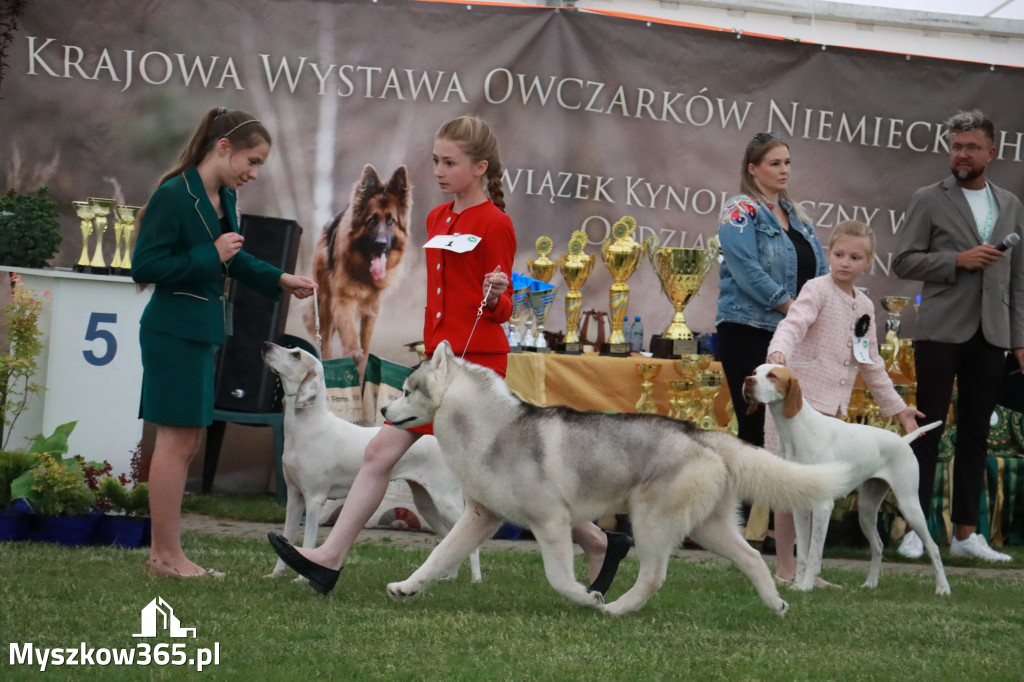 Fotorelacja - Wystawa Psów Rasowych GNIAZDÓW 2024r.