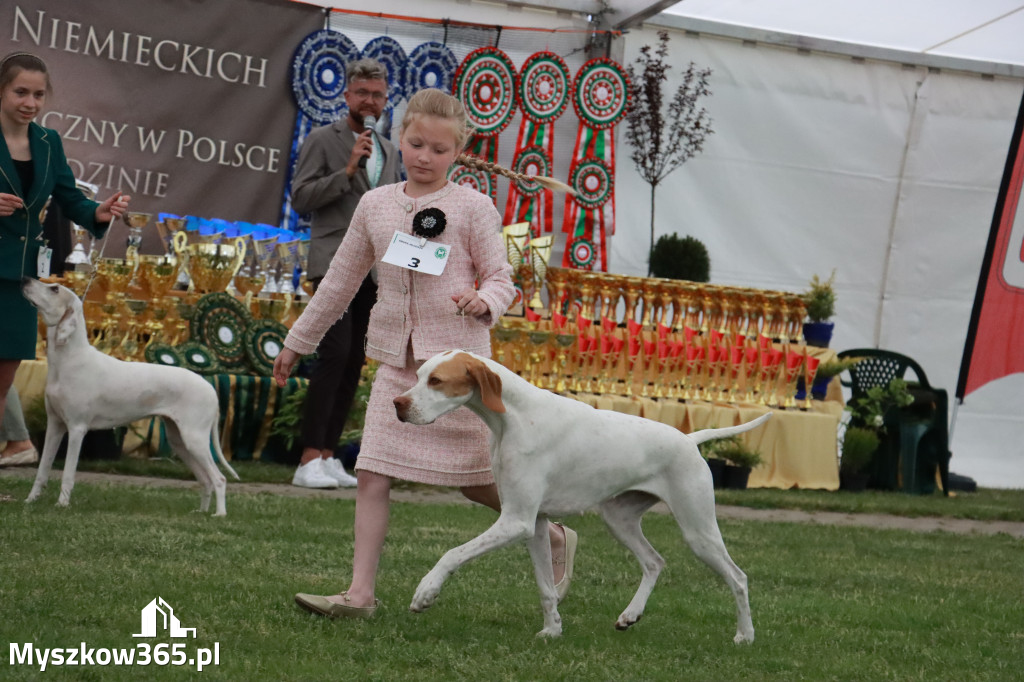 Fotorelacja - Wystawa Psów Rasowych GNIAZDÓW 2024r.