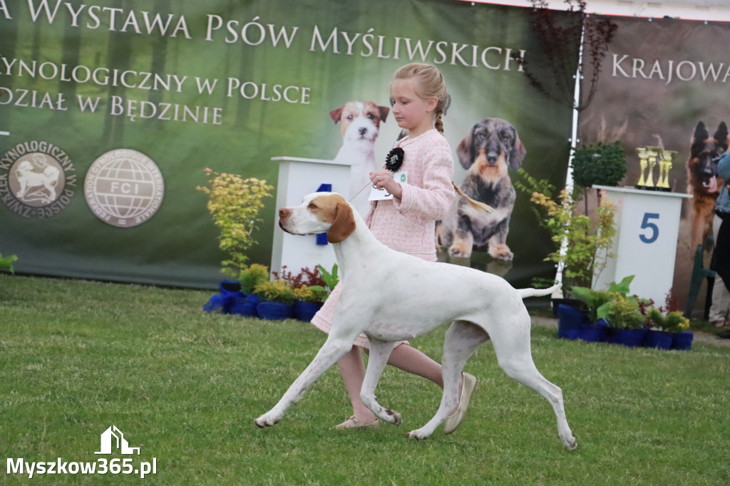 Fotorelacja - Wystawa Psów Rasowych GNIAZDÓW 2024r.