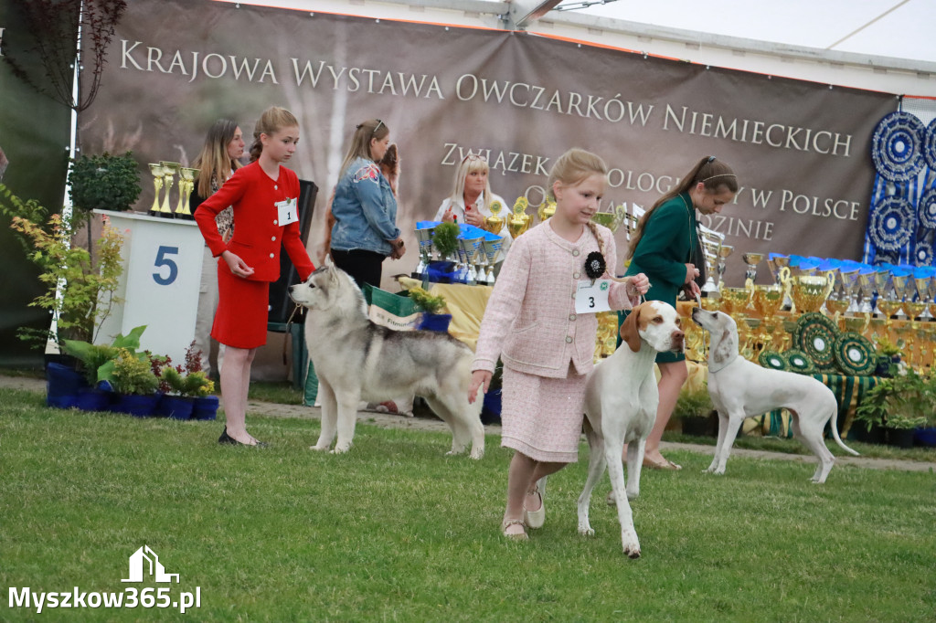 Fotorelacja - Wystawa Psów Rasowych GNIAZDÓW 2024r.