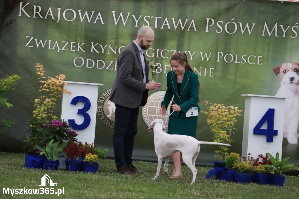 Fotorelacja - Wystawa Psów Rasowych GNIAZDÓW 2024r.