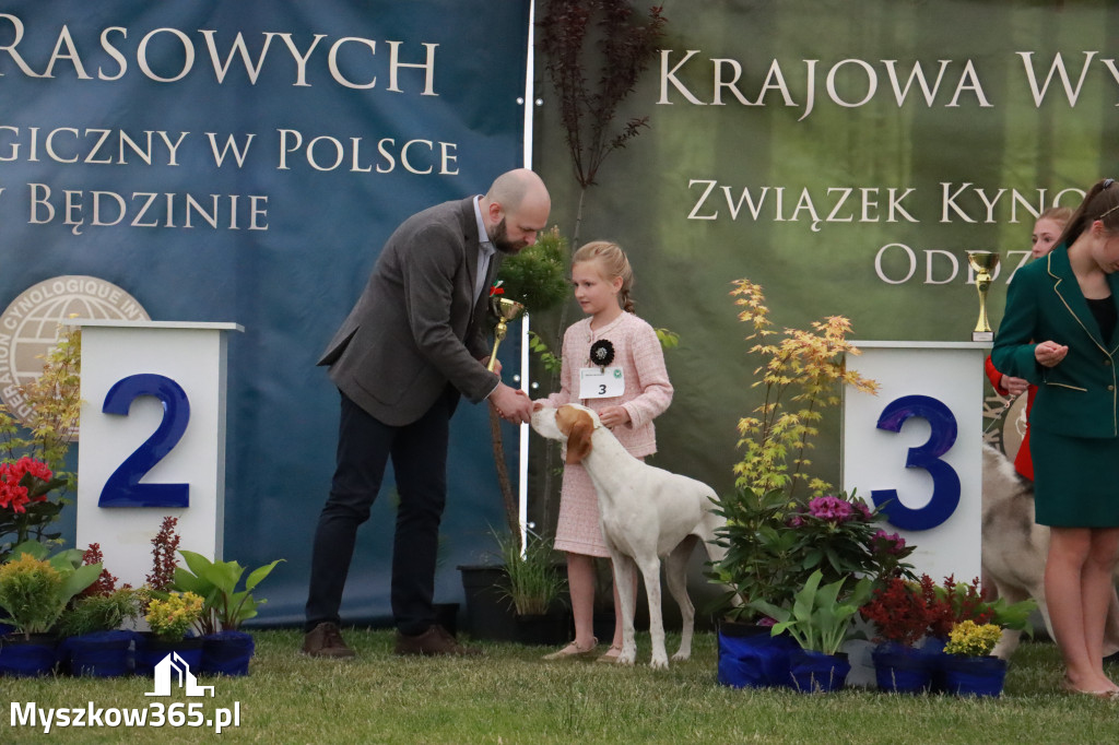 Fotorelacja - Wystawa Psów Rasowych GNIAZDÓW 2024r.