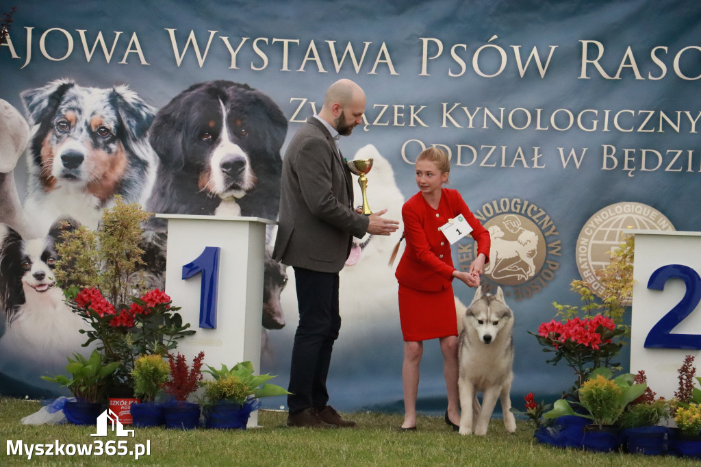 Fotorelacja - Wystawa Psów Rasowych GNIAZDÓW 2024r.