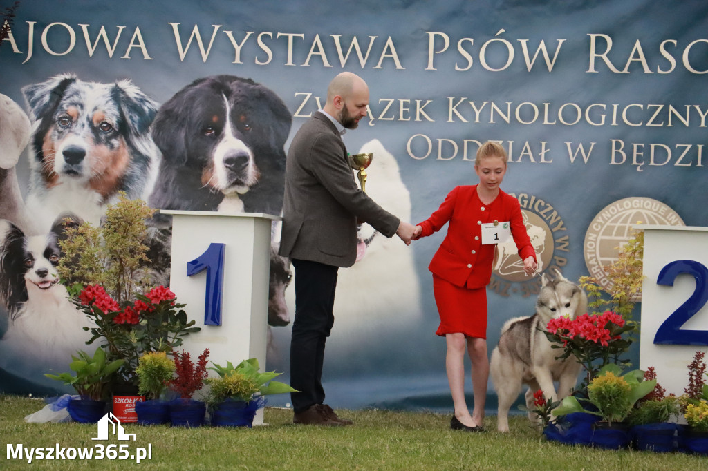 Fotorelacja - Wystawa Psów Rasowych GNIAZDÓW 2024r.