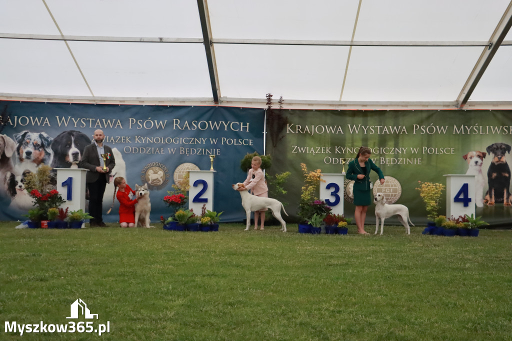 Fotorelacja - Wystawa Psów Rasowych GNIAZDÓW 2024r.