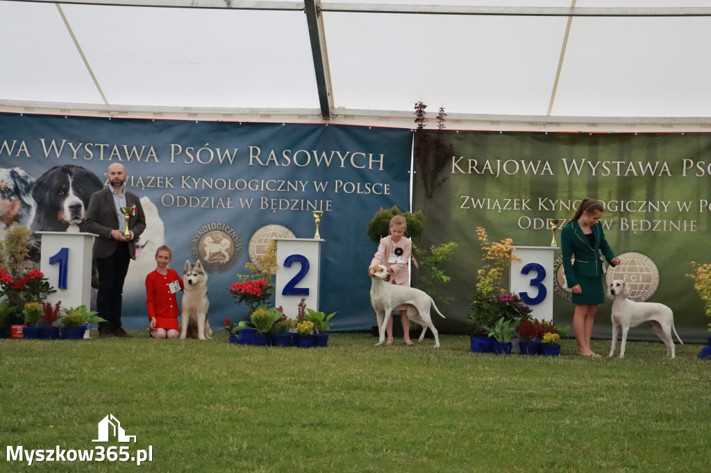 Fotorelacja - Wystawa Psów Rasowych GNIAZDÓW 2024r.